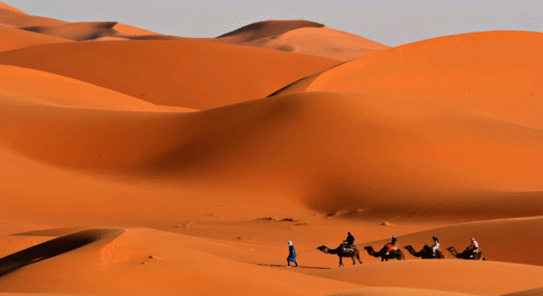“丝绸之路•翰墨通渭”首届中国画、油画作品展征稿