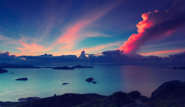 金猴杯全国摄影网络大赛