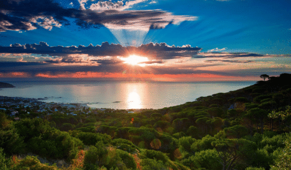 2016年度CMPA手机摄影大展