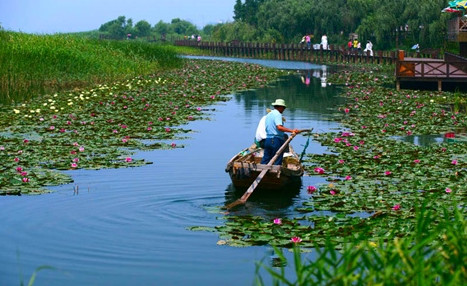 江苏省生态文明建设摄影大赛
