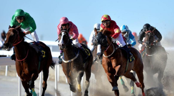 2016浪琴表中国马术巡回赛大连站青年志愿者招募