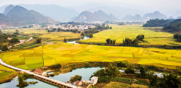 “德行天下·微影故事”大赛