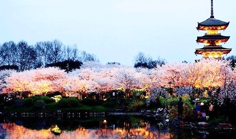 武汉大学“互联网+”大学生创新创业大赛