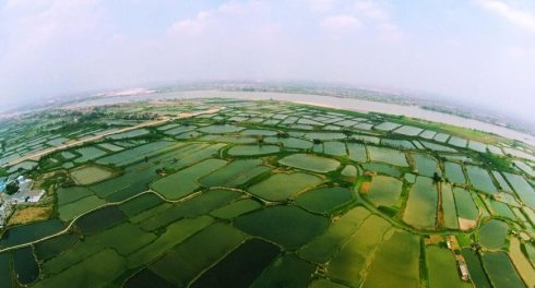 第八届“祖国好”华语文学艺术大赛