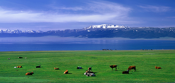 “我眼中的赛里木湖”手机随手拍图文征集