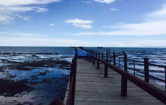 2016青海湖乌托邦音乐营志愿者公开招募