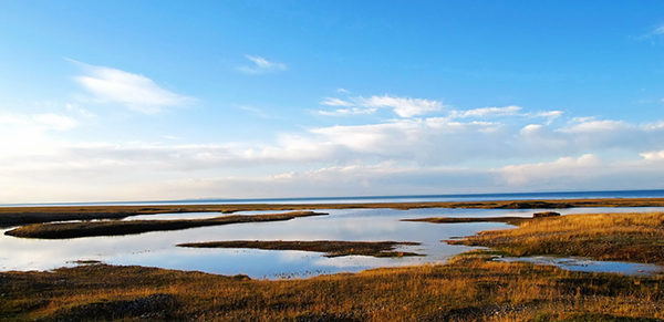 青海湿地最美摄影大赛征集