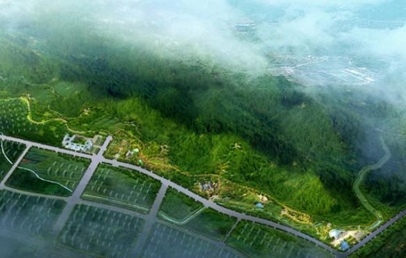 庐江县第三届微电影大赛