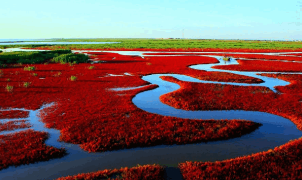 “家”文化主题摄影书法大赛征稿