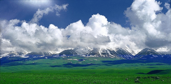 那拉提景区宣传口号、吉祥物有奖征集