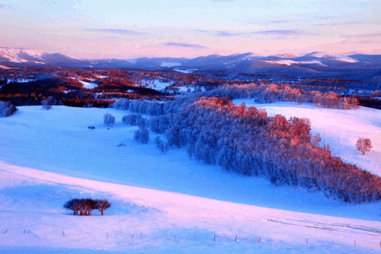 2016年黑龙江省优秀公益广告评选