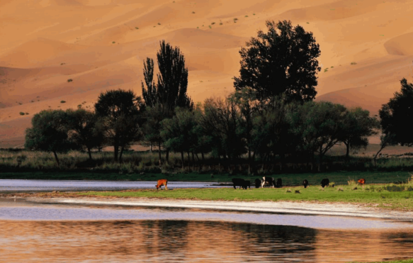 海勃湾区2016“发现大漠湖畔的幸福村”摄影征稿