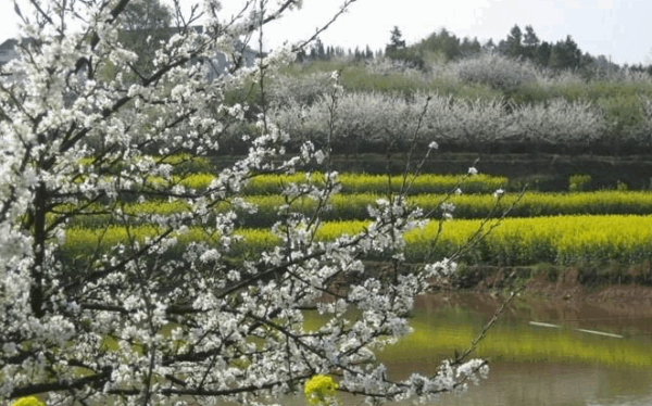 湖南衡山萱洲国家湿地公园 首届摄影大奖赛