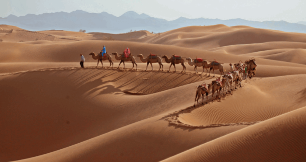 第二届全国全域旅游推进会图片和视频作品征集