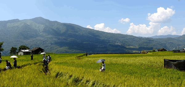 “魅力龙江”保山龙陵县摄影大赛