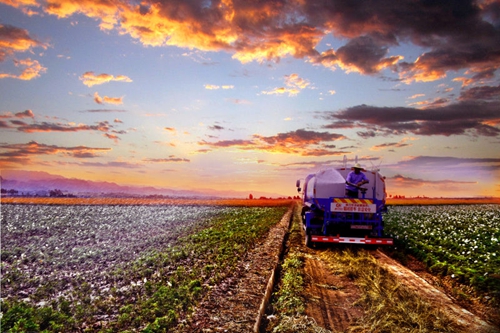 405f0f6682a6dfc_size183_w500_h333