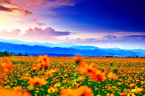 7ed331eb7c1ffbb_size169_w500_h333