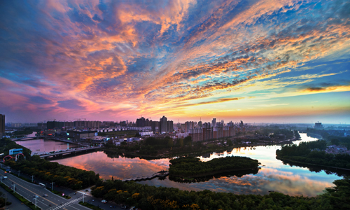 第五届科普知识网络大赛