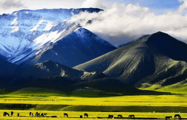 寻找新疆最美创客