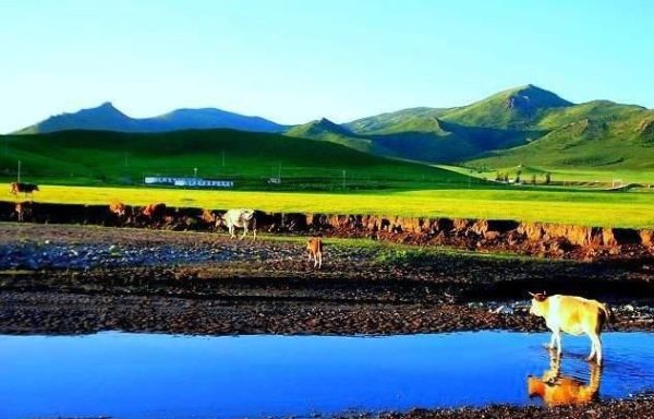 全区高校第四届大学生心理剧大赛