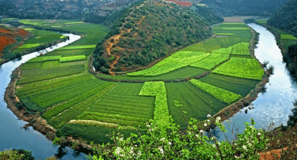 宜良县征集旅游形象标志(logo)