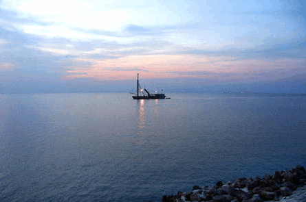 中扬镇征集政府形象logo