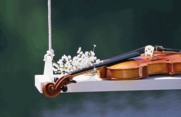 钦州市首届青少年器乐大赛