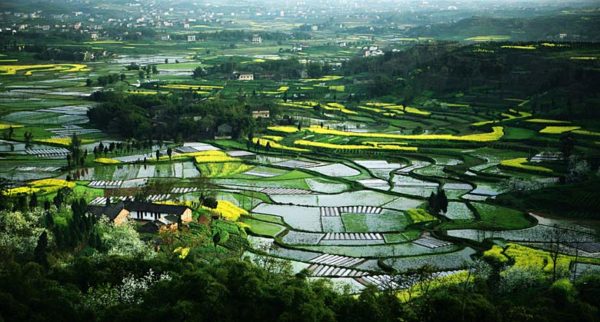“最美乡村上封面”摄影大赛作品征集