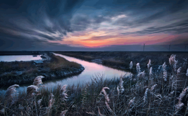 盐城征集旅游形象标识